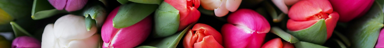 Nog_een_tussenstukkie_pasen