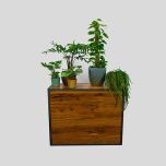 Groen Decoratie GROOT - Zuilen, buffet, divider (set planten)