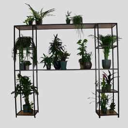 Groendecoratie luxe - Hot Metal frame - 60x190cm
