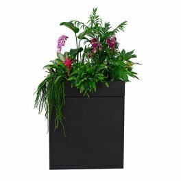Groendecoratie in plantenbak zwart + black velvet wand