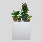Groen Decoratie KLEIN - black velvet / white heaven wand
