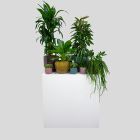 Groen Decoratie GROOT - black velvet / white heaven wand