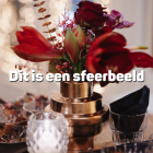 Kerstdecoratie - pakket, Elegant Scarlet