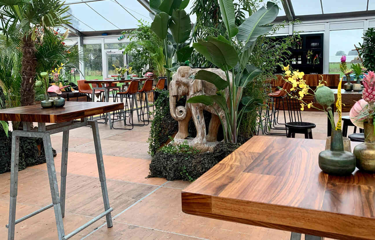 Jungle thema Héman